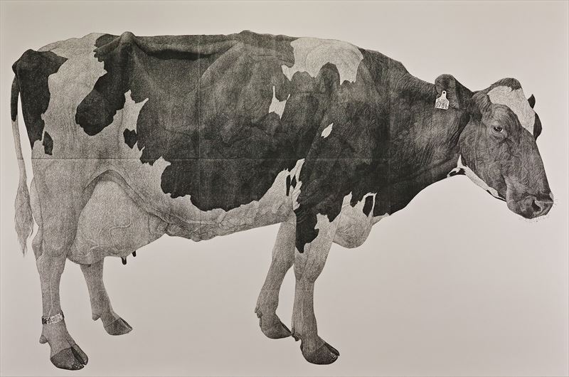 牛の版画
